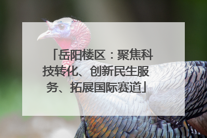 岳阳楼区：聚焦科技转化、创新民生服务、拓展国际赛道