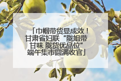 巾帼带货显成效！甘肃省妇联“陇姐带甘味 陇货优品位”端午集市圆满收官