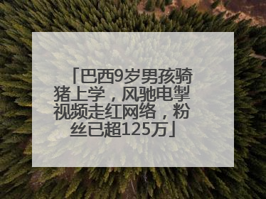 巴西9岁男孩骑猪上学，风驰电掣视频走红网络，粉丝已超125万