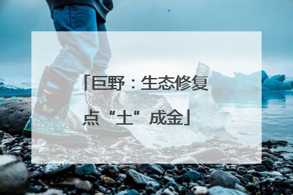 巨野：生态修复点“土”成金