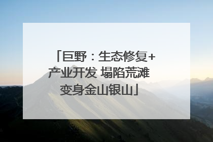 巨野：生态修复+产业开发 塌陷荒滩变身金山银山
