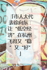 市人大代表徐向东：让“低空经济”在杭州飞得又“稳”又“好”