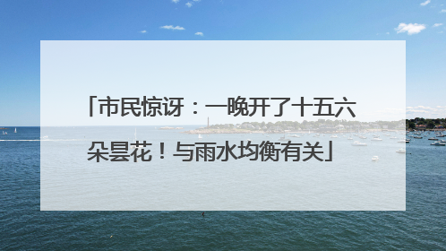 市民惊讶：一晚开了十五六朵昙花！与雨水均衡有关