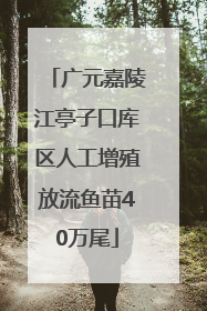 广元嘉陵江亭子口库区人工增殖放流鱼苗40万尾