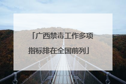 广西禁毒工作多项指标排在全国前列