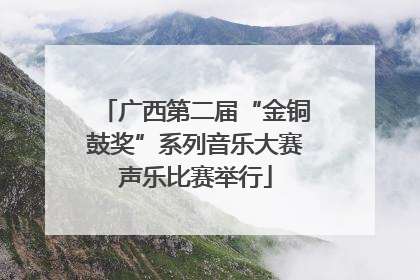 广西第二届“金铜鼓奖”系列音乐大赛声乐比赛举行
