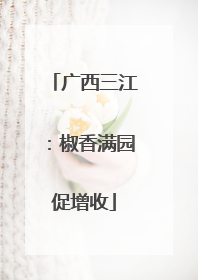 广西三江：椒香满园促增收