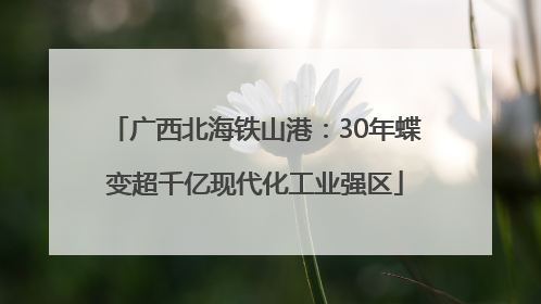 广西北海铁山港：30年蝶变超千亿现代化工业强区