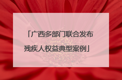 广西多部门联合发布残疾人权益典型案例