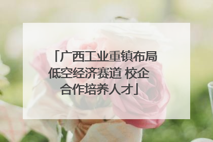 广西工业重镇布局低空经济赛道 校企合作培养人才