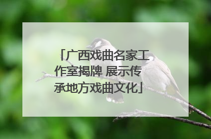 广西戏曲名家工作室揭牌 展示传承地方戏曲文化