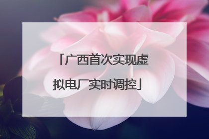 广西首次实现虚拟电厂实时调控
