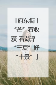 府东街丨“芒”着收获 看菏泽“三夏”好“丰景”