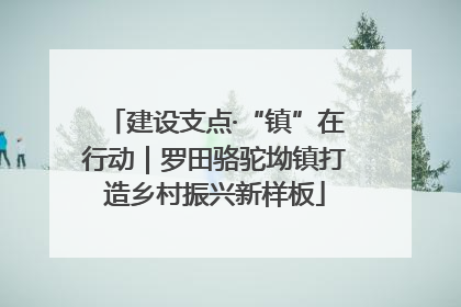 建设支点·“镇”在行动｜罗田骆驼坳镇打造乡村振兴新样板