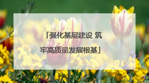 强化基层建设 筑牢高质量发展根基