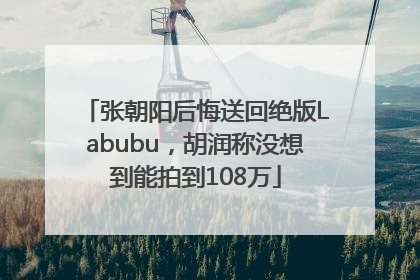 张朝阳后悔送回绝版Labubu，胡润称没想到能拍到108万