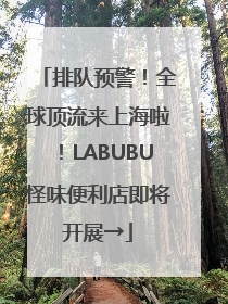 排队预警！全球顶流来上海啦！LABUBU怪味便利店即将开展→