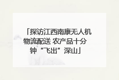 探访江西南康无人机物流配送 农产品十分钟“飞出”深山