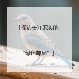 探访长江源头的“绿色邮局”