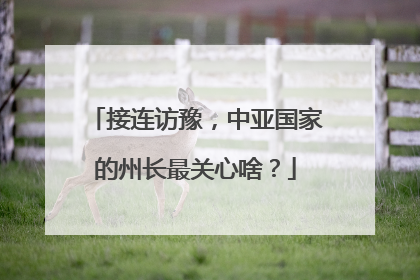 接连访豫，中亚国家的州长最关心啥？