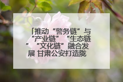 推动“警务链”与“产业链”“生态链”“文化链”融合发展 甘肃公安打造陇原旅游警务品牌
