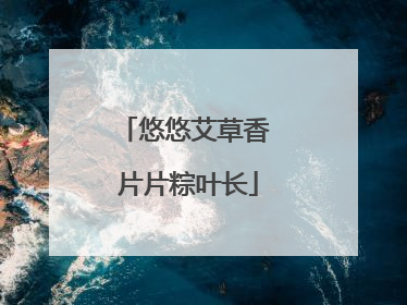 悠悠艾草香 片片粽叶长