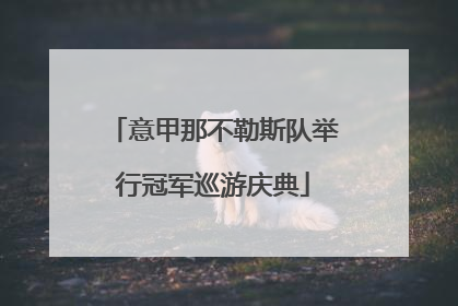 意甲那不勒斯队举行冠军巡游庆典