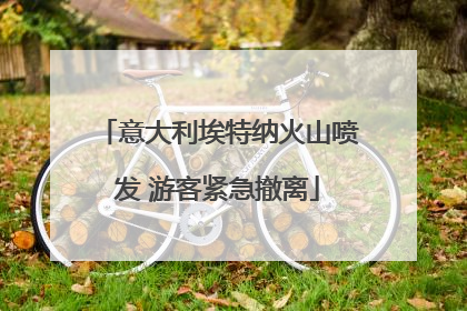 意大利埃特纳火山喷发 游客紧急撤离
