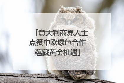 意大利商界人士点赞中欧绿色合作蕴藏黄金机遇