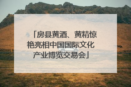 房县黄酒、黄精惊艳亮相中国国际文化产业博览交易会