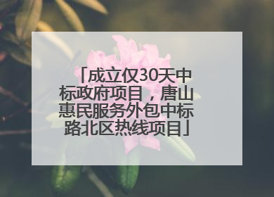 成立仅30天中标政府项目，唐山惠民服务外包中标路北区热线项目