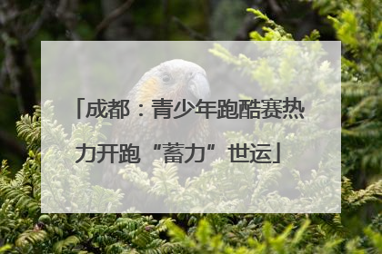 成都：青少年跑酷赛热力开跑“蓄力”世运