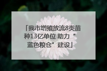 我市增殖放流8类苗种13亿单位 助力“蓝色粮仓”建设