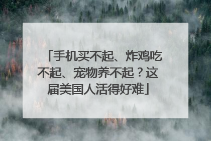 手机买不起、炸鸡吃不起、宠物养不起？这届美国人活得好难