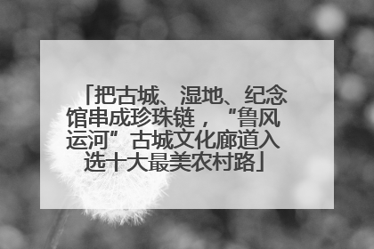 把古城、湿地、纪念馆串成珍珠链，“鲁风运河”古城文化廊道入选十大最美农村路