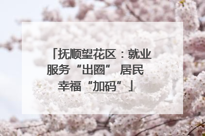 抚顺望花区：就业服务“出圈” 居民幸福“加码”