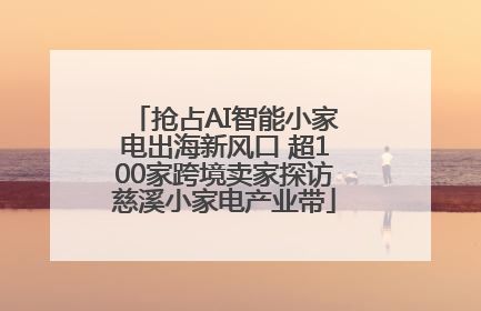 抢占AI智能小家电出海新风口 超100家跨境卖家探访慈溪小家电产业带