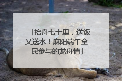 抬舟七十里，送饭又送水！麻阳端午全民参与的龙舟情