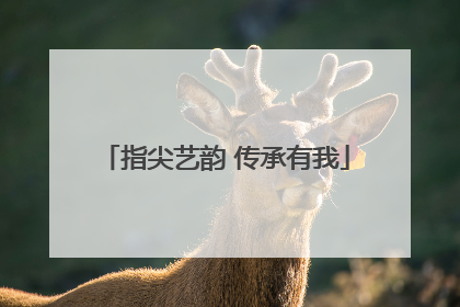 指尖艺韵 传承有我
