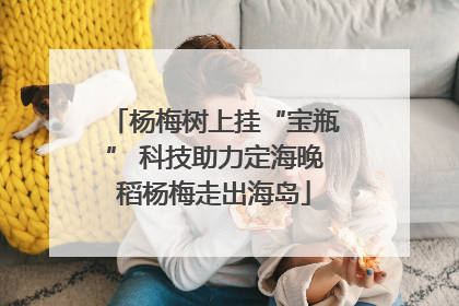 杨梅树上挂“宝瓶” 科技助力定海晚稻杨梅走出海岛