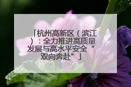 杭州高新区（滨江）：全力推进高质量发展与高水平安全“双向奔赴”