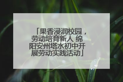 果香浸润校园，劳动培育新人 绵阳安州塔水初中开展劳动实践活动