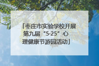 枣庄市实验学校开展第九届“5·25”心理健康节游园活动
