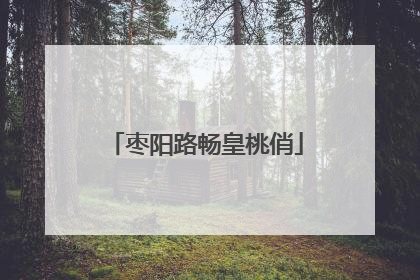 枣阳路畅皇桃俏