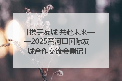 携手友城 共赴未来——2025黄河口国际友城合作交流会侧记