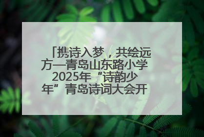 携诗入梦，共绘远方—青岛山东路小学2025年“诗韵少年”青岛诗词大会开幕畅游诗词之海