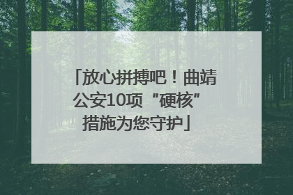 放心拼搏吧！曲靖公安10项“硬核”措施为您守护