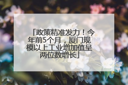 政策精准发力！今年前5个月，厦门规模以上工业增加值呈两位数增长