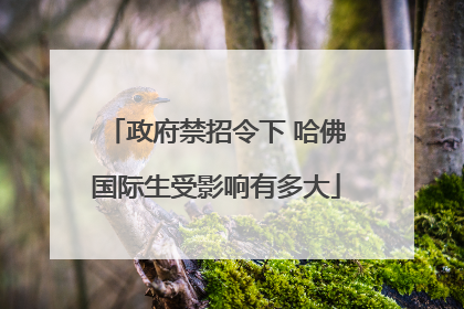 政府禁招令下 哈佛国际生受影响有多大