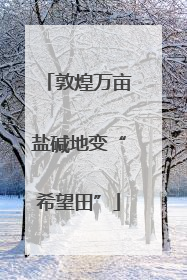 敦煌万亩盐碱地变“希望田”